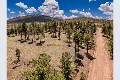 289 Hagin Ln, Fort Garland, CO 81133 - Photo 3