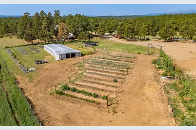 14600 County Rd 30.1, Weston, CO 81091 - Photo 33