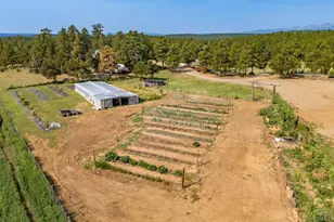 14600 County Rd 30 1, Weston, CO 81091 - Photo 33