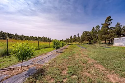 14600 County Rd 30.1, Weston, CO 81091 - Photo 35