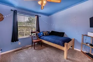 14600 County Rd 30 1, Weston, CO 81091 - Photo 17