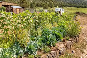 14600 County Rd 30 1, Weston, CO 81091 - Photo 31