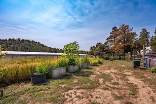 14600 County Rd 30 1, Weston, CO 81091 - Photo 37
