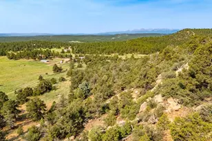 14600 County Rd 30 1, Weston, CO 81091 - Photo 25