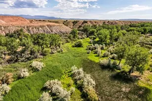 531 Co Rd 119, Florence, CO 81226 - Photo 29