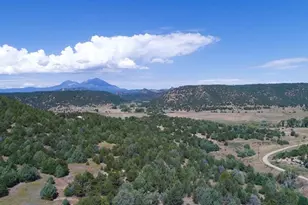 25850 River Pines Rd, Aguilar, CO 81020 - Photo 57