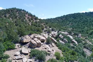 25850 River Pines Rd, Aguilar, CO 81020 - Photo 53