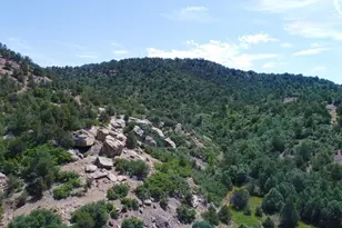 25850 River Pines Rd, Aguilar, CO 81020 - Photo 59