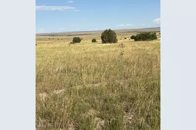 Lot 133 Ghost River Ranch, Rye, CO 81069 - Photo 3
