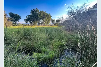 Tbd Cr 119, Florence, CO 81226 - Photo 11
