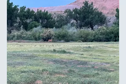 Tbd Cr 119, Florence, CO 81226 - Photo 7
