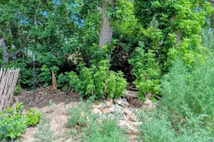 505 W 10th St, Walsenburg, CO 81089 - Photo 5