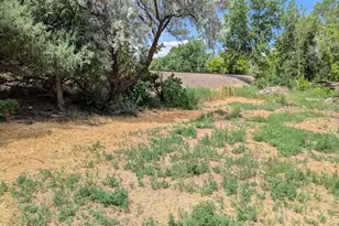 505 W 10th St, Walsenburg, CO 81089 - Photo 11