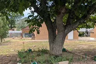 1910 E 8th St, Pueblo, CO 81001 - Photo 5