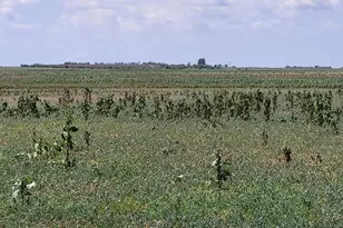 61776 Huckleberry Rd, Boone, CO 81025 - Photo 15