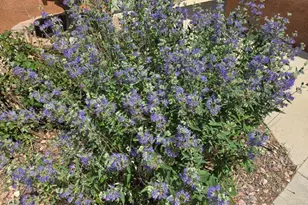 410 Welton St, Wiley, CO 81092 - Photo 5