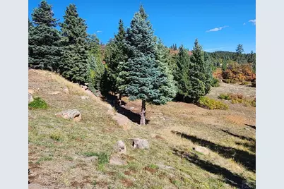 6738 Greenhorn Mountain Dr, Beulah, CO 81023 - Photo 13