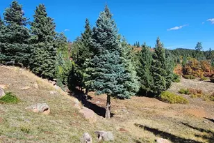 6738 Greenhorn Mountain Dr, Beulah, CO 81023 - Photo 13