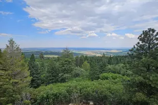 6738 Greenhorn Mountain Dr, Beulah, CO 81023 - Photo 17