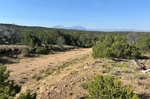 Lot 905 Rio Cucharas, Walsenburg, CO 81089 - Photo 1