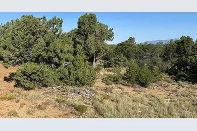 Lot 905 Rio Cucharas, Walsenburg, CO 81089 - Photo 3