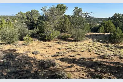 Lot 905 Rio Cucharas, Walsenburg, CO 81089 - Photo 7