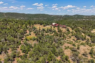 31300 Timber Canyon Rd, Trinidad, CO 81082 - Photo 25