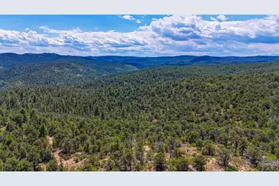 31300 Timber Canyon Rd, Trinidad, CO 81082 - Photo 5