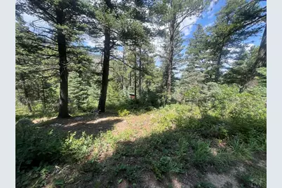 Tbd Bartlett Trail, Rye, CO 81069 - Photo 13