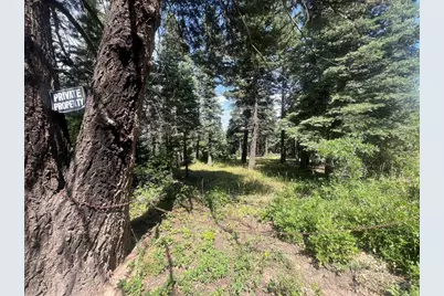 Tbd Bartlett Trail, Rye, CO 81069 - Photo 5