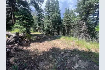 Tbd Bartlett Trail, Rye, CO 81069 - Photo 9