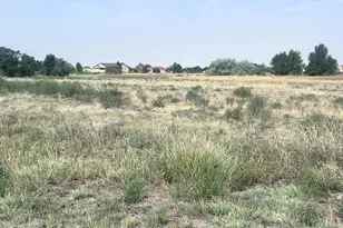 321 S Bayfield Ave, Pueblo West, CO 81007 - Photo 1