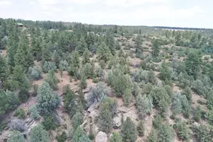 24225 County Rd 43 7, Aguilar, CO 81020 - Photo 45