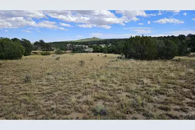 776 Rio Cucharas, Walsenburg, CO 81089 - Photo 11