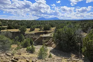 776 Rio Cucharas, Walsenburg, CO 81089 - Photo 1