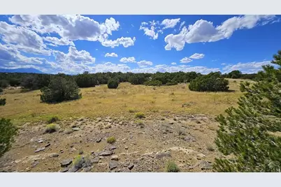 776 Rio Cucharas, Walsenburg, CO 81089 - Photo 7