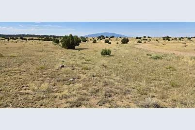 24 Rio Cucharas, Walsenburg, CO 81089 - Photo 13