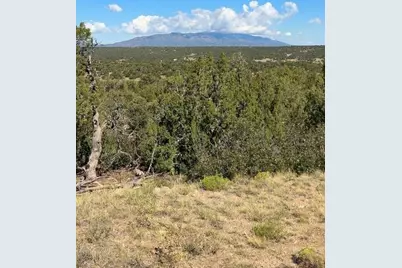 Lot 463 Rio Cucharas, Walsenburg, CO 81089 - Photo 1