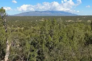 Lot 463 Rio Cucharas, Walsenburg, CO 81089 - Photo 1