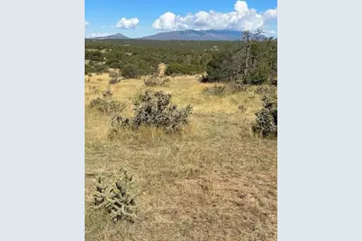 Lot 463 Rio Cucharas, Walsenburg, CO 81089 - Photo 3