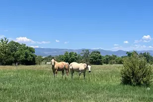 988 P St, Penrose, CO 81240 - Photo 33