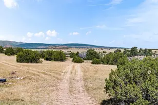 7015 Burnt Mill Rd, Beulah, CO 81023 - Photo 35