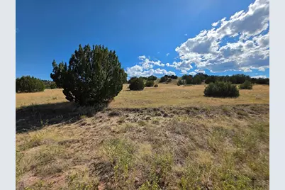 Lot 24 Pope Valley Ranch Rd, Beulah, CO 81023 - Photo 9