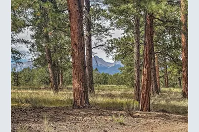 111 Sioux Trail, Westcliffe, CO 81252 - Photo 23