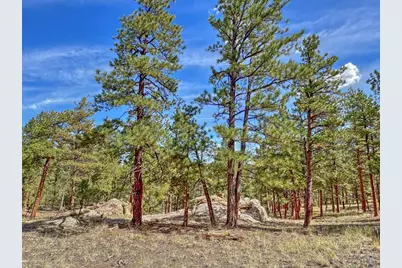 111 Sioux Trail, Westcliffe, CO 81252 - Photo 29