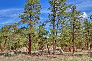 111 Sioux Trail, Westcliffe, CO 81252 - Photo 29