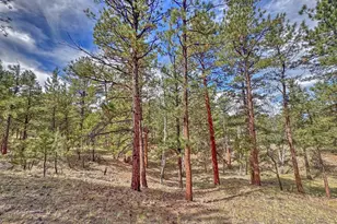 111 Sioux Trail, Westcliffe, CO 81252 - Photo 27