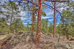 111 Sioux Trail, Westcliffe, CO 81252 - Photo 25