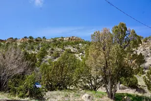 919 Park St, Trinidad, CO 81082 - Photo 61