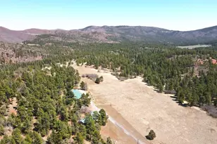 3990 Northcreek Rd, Beulah, CO 81023 - Photo 57